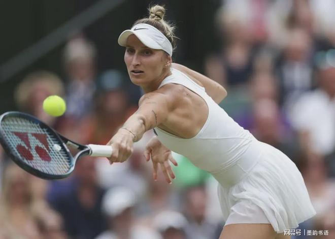 从新秀赛季 从新秀赛季